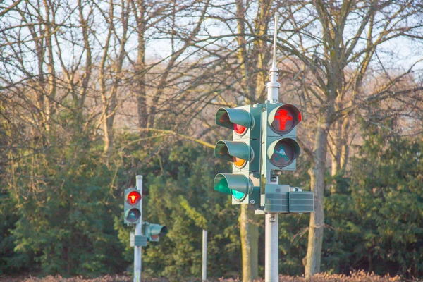 Berlin traffic lights with special shape — Stock Photo, Image