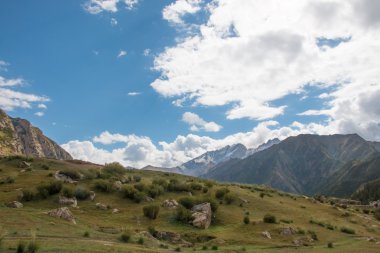 Tepeler ve dağlar tek ağaçları ile