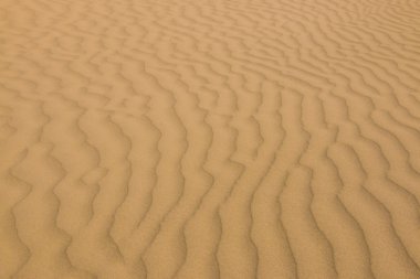 Kum çölde paralel çizgili desen