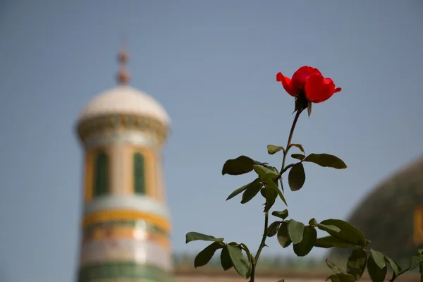 Rode bloem voor wazig moskee toren — Stockfoto
