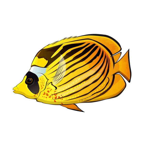 Butterfly fish Illustration — Stock Vector
