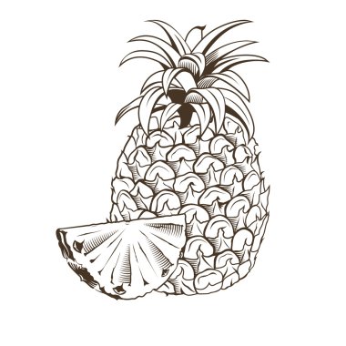 Ananas, klasik tarzda. Çizgi sanat vektörü illüstrasyonu
