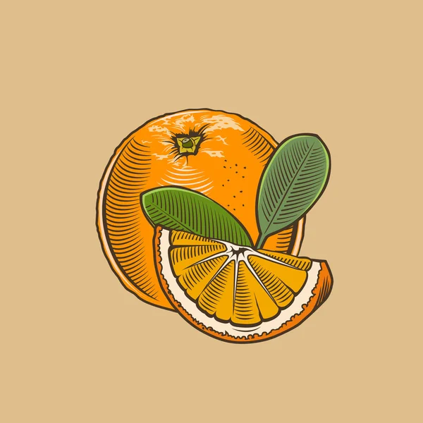 Pomeranč v retro stylu. Barevné vektorové ilustrace — Stockový vektor