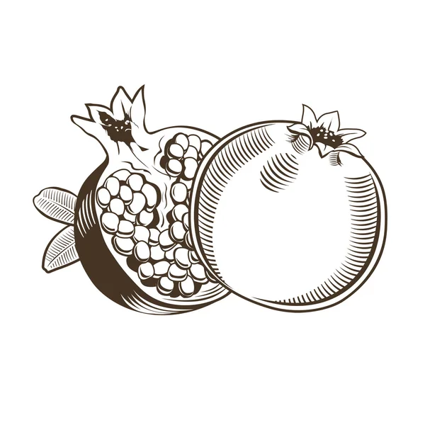 Granátová jablka ve starém stylu. Obrázek vektoru čáry — Stockový vektor