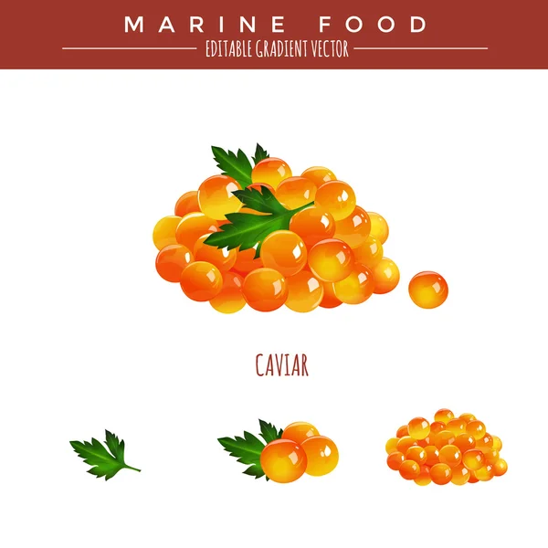 Caviar merah. Makanan Laut - Stok Vektor