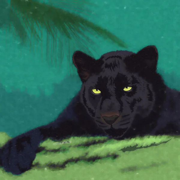Wildkatzen. Panther — Stockfoto