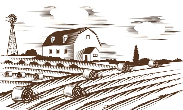Paisagem agrícola. Ilustração de vetor de cor gravada . — Vetor de Stock