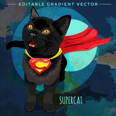 Kediler süper kahramanlar. Supercat