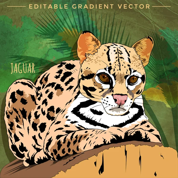 Gatos salvajes. Jaguar — Vector de stock
