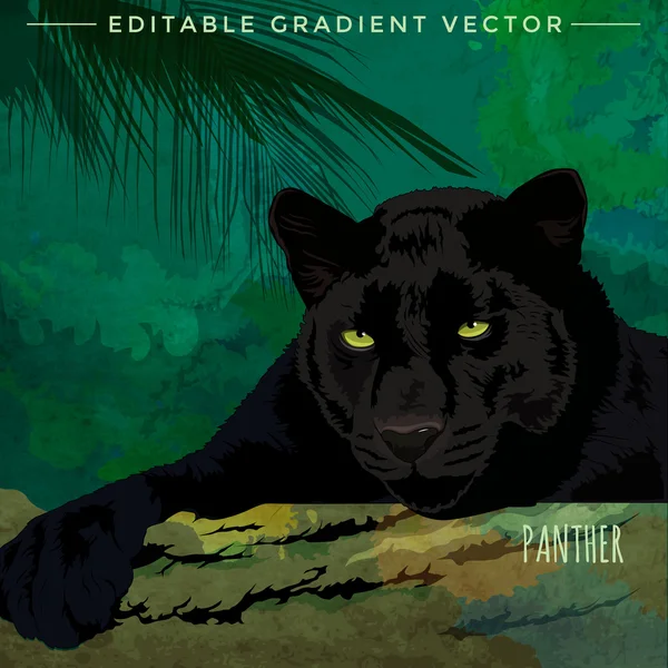 Wildkatzen. Panther — Stockvektor