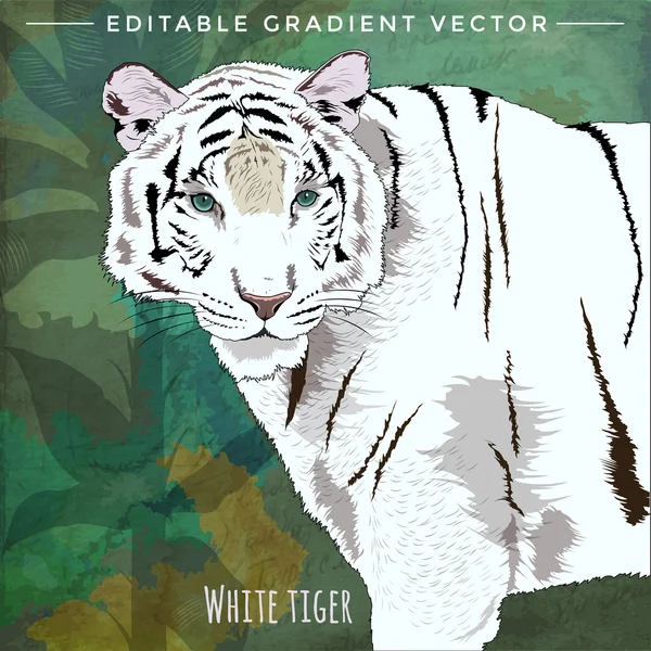 Gatos salvajes. Tigre blanco — Vector de stock