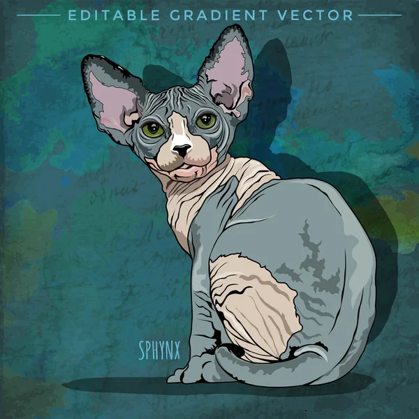 Sphynx Cat Illustration — Stock Vector
