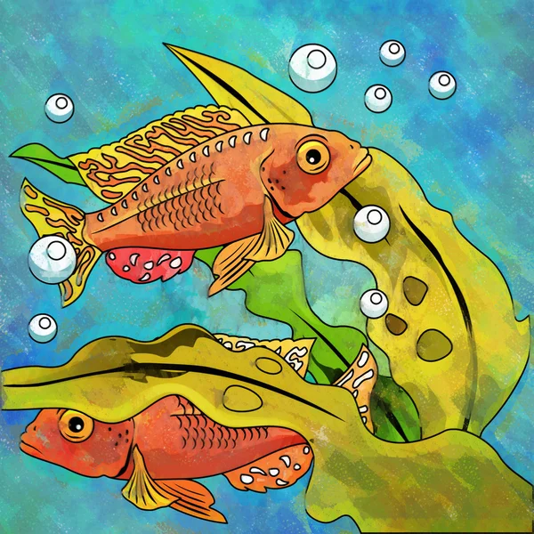 Renkli akvaryum/süs balıkları — Stok fotoğraf