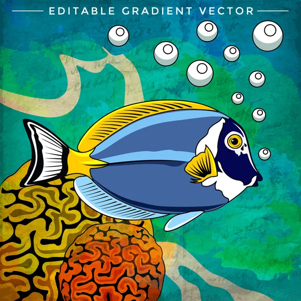 Coloridos peces de acuario — Vector de stock