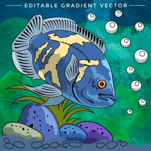 Coloridos peces de acuario — Vector de stock