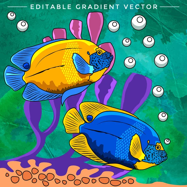 Coloridos peces de acuario — Vector de stock