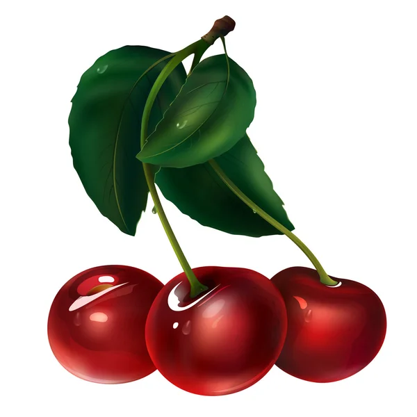Cherry na bílém pozadí — Stock fotografie