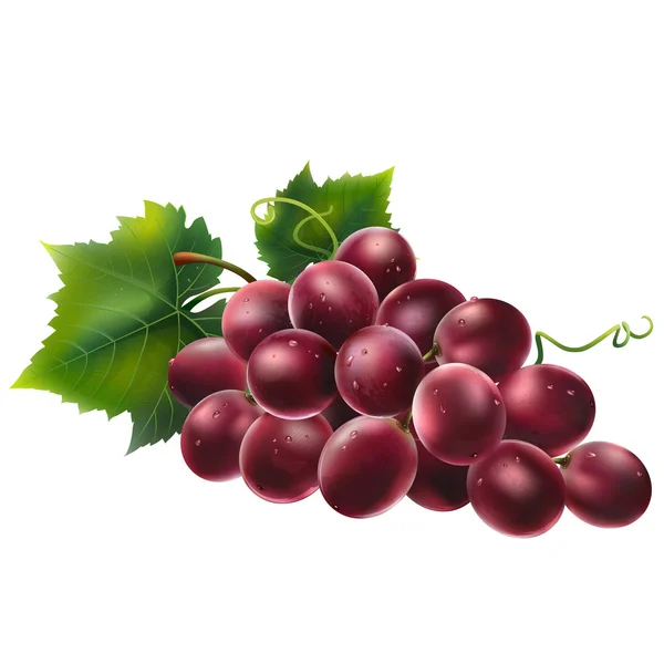 Rode druiven op witte achtergrond — Stockfoto