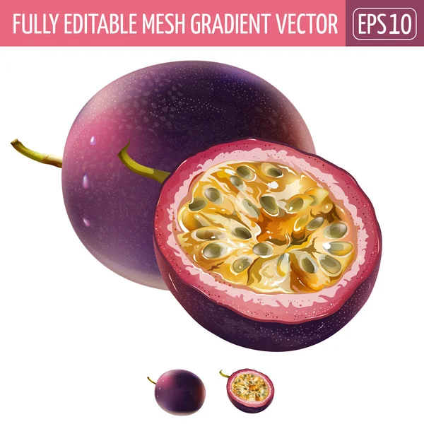 Passionfruit on white background. Vector illustration — Stock Vector