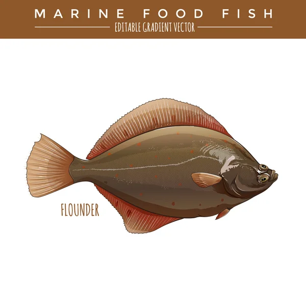 La plie. Aliments marins Poissons — Photo gratuite