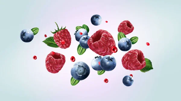 覆盆子和蓝莓带着果汁飞舞. — 图库矢量图片