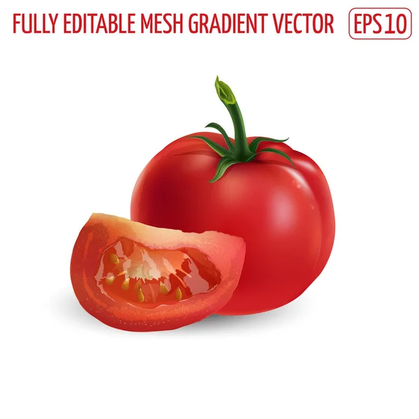 Ganze rote Tomate mit Scheibe auf weißem Hintergrund. — Stockvektor