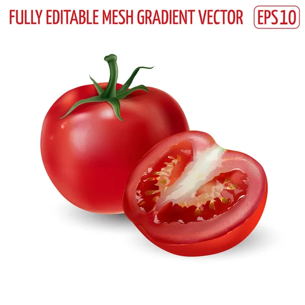 Červené rajče s půlkou rajčat na bílém pozadí. — Stockový vektor