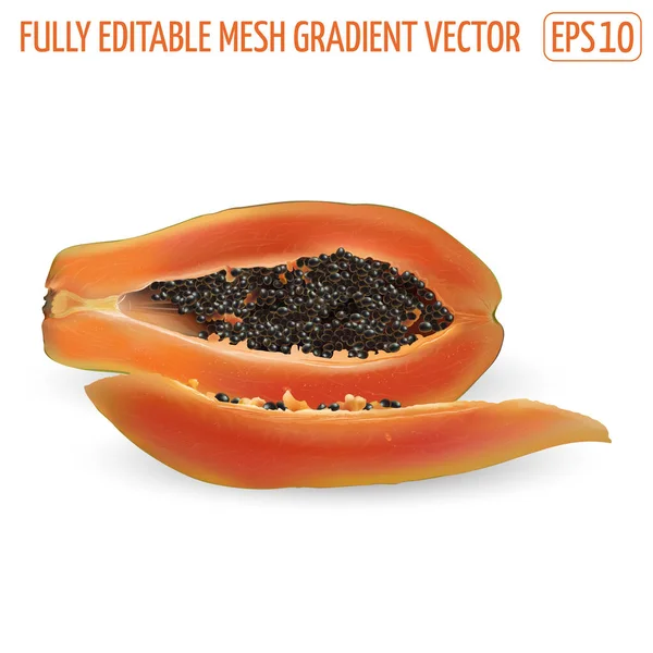 Sliced ripe papaya on a white background. — Stock Vector