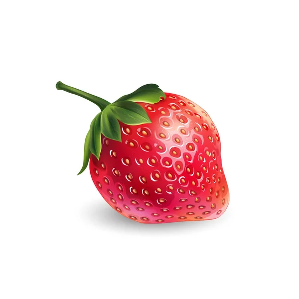 Frische reife Erdbeere auf weißem Hintergrund. — Stockfoto