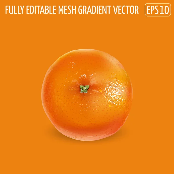 Naranja maduro sin pelar sobre un fondo naranja. — Vector de stock
