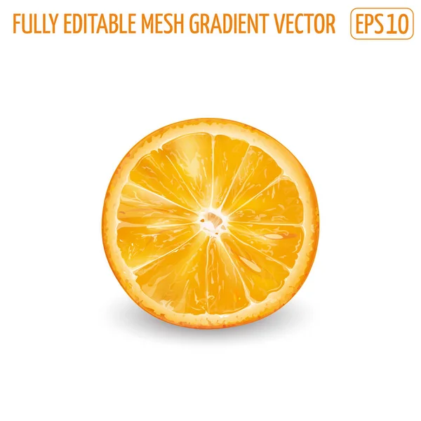 Runde Orangenscheibe auf weißem Hintergrund. — Stockvektor