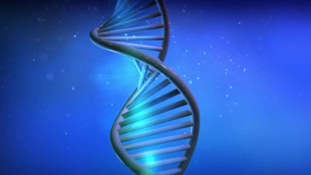 Het DNA-strengenmodel draait in close-up. — Stockvideo