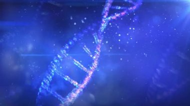 DNA iplikçiklerinin bir kısmının yok edilmesi.