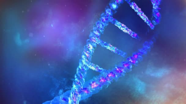 Část řetězce DNA zblízka. — Stock video
