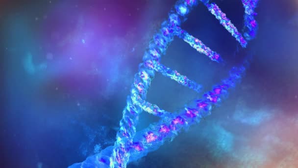 Una sezione di un filamento di DNA primo piano. — Video Stock