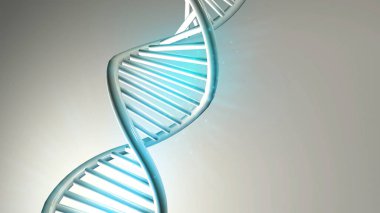 Açık gri arkaplanda çift sarmal DNA modeli, 3 boyutlu görüntüleme.
