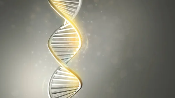 Gyllene glöd av DNA dubbel spiral modell, 3D render. — Stockfoto