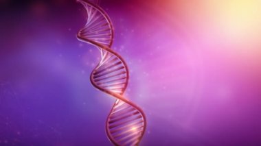 DNA çift sarmal dönüşünün renkli animasyonu.