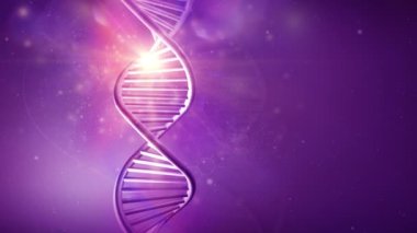 Mor bir arkaplan üzerinde DNA iplikçiklerinin dönen modeli.