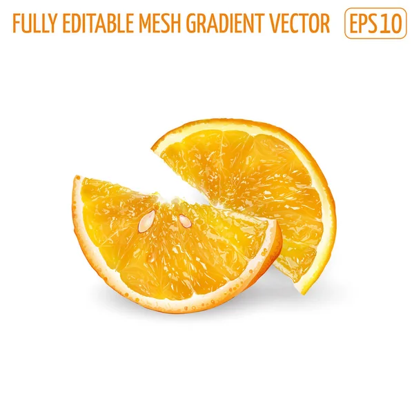 Zwei Orangenscheiben auf weißem Hintergrund. — Stockvektor