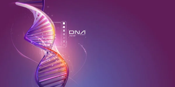 DNA struttura a doppia elica su fondo viola. — Vettoriale Stock