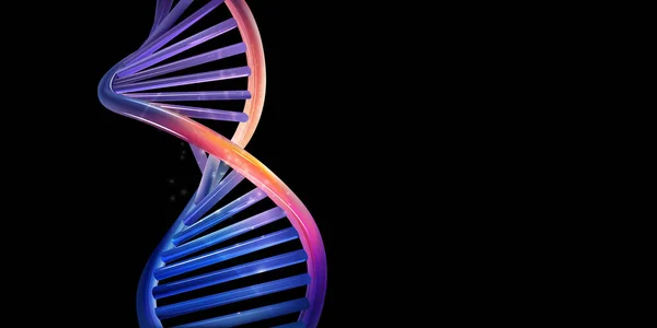 Модель спирали ДНК светится на черном фоне. — стоковый вектор