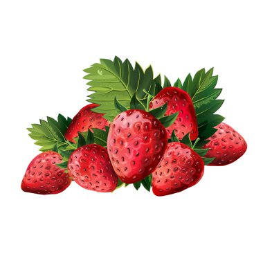 Yaprakları ile kırmızı çilek