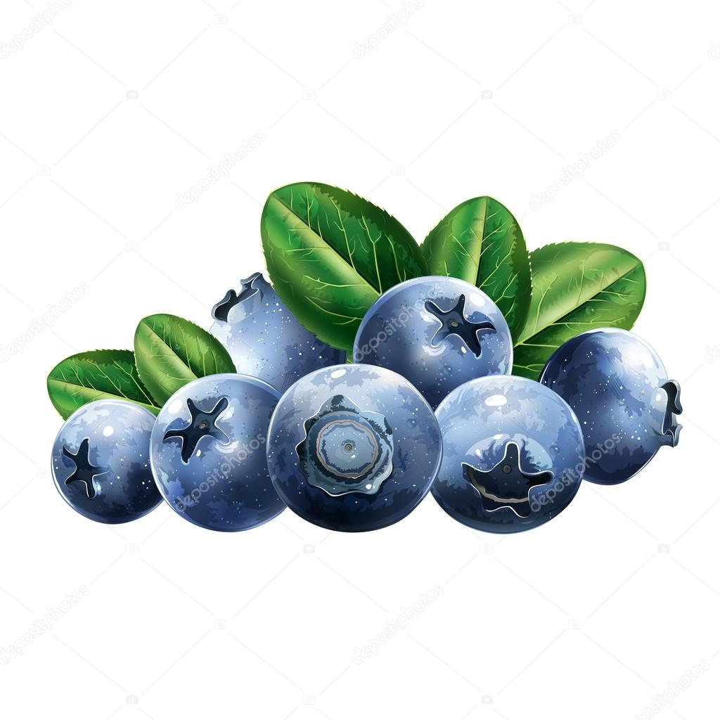 Blueberries With Leaves