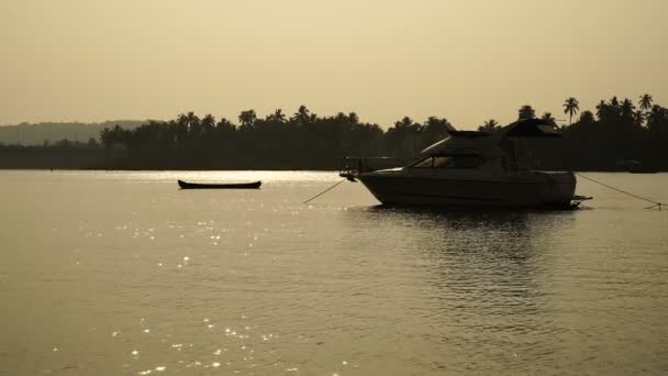 日水。ボート。シルエット。ヤシの木. — ストック動画