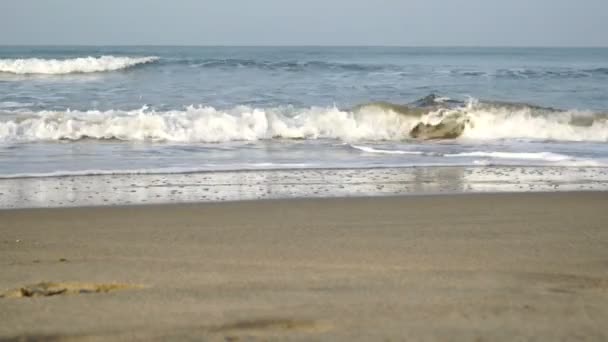 Море. Скай. Песок — стоковое видео