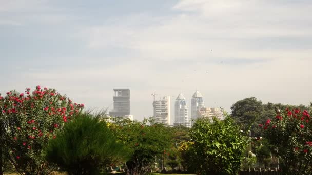 Vue depuis le jardin sur les bâtiments . — Video