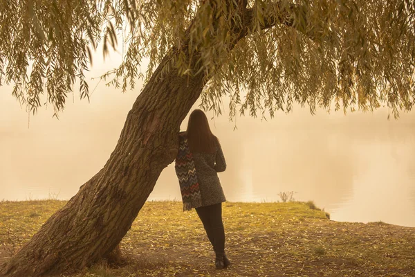 Einsame Frau, die sich an einem nebligen Herbsttag unter dem Baum am Wasser ausruht. einsame Frau genießt die Landschaft im Herbst. Herbsttag. Mädchen sitzt auf Gras horizontale Bild. — Stockfoto