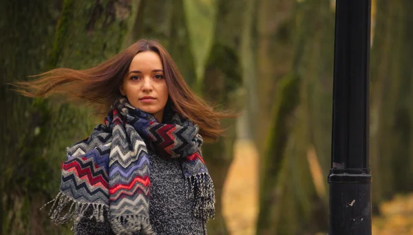 Sonbahar ağaçlar fonunda poz saç uçan ile esmer.