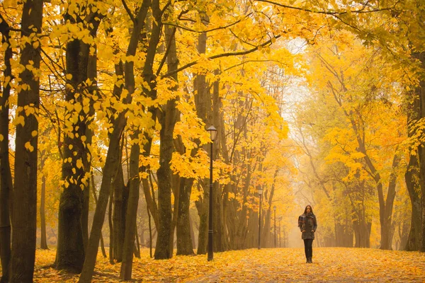 Femme solitaire marchant dans le parc par une journée d'automne brumeuse. Femme solitaire profitant du paysage naturel en automne. Jour d'automne. Fille assise sur l'herbe Image verticale couleur . — Photo